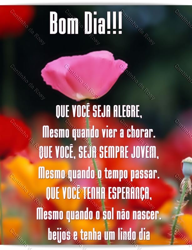 2011 – Página: 122 – Cantinho da Rosy 2011 – Página: 122 – Cantinho da Rosy